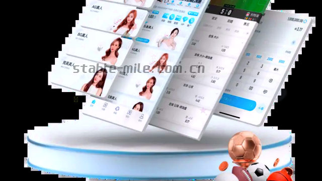稳定入口引导设置
