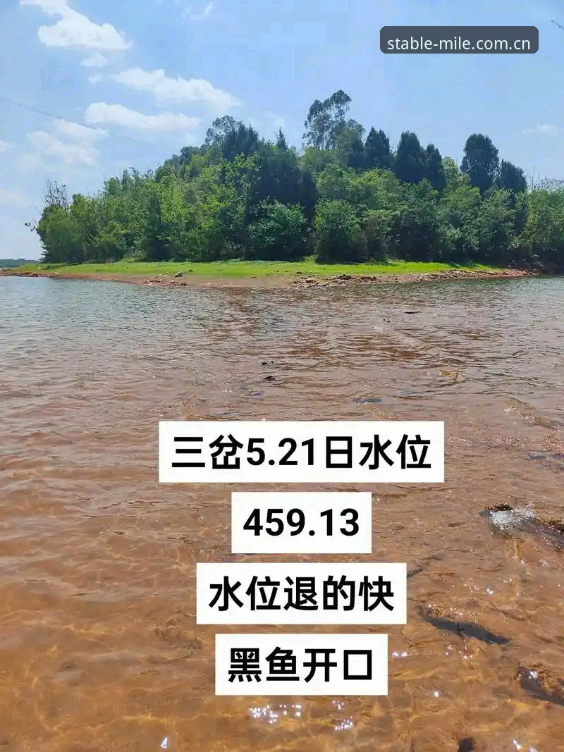 两万人的球赛，赛前十五分钟，你打开手机看实时水位，刷新三次，三个数字。这不是个例。一个做体育数据服务的老朋友对我说过，他们平台高峰期每秒要处理上千个水位请求，而真正能从这些数字里看出门道的人，不到百分之一。